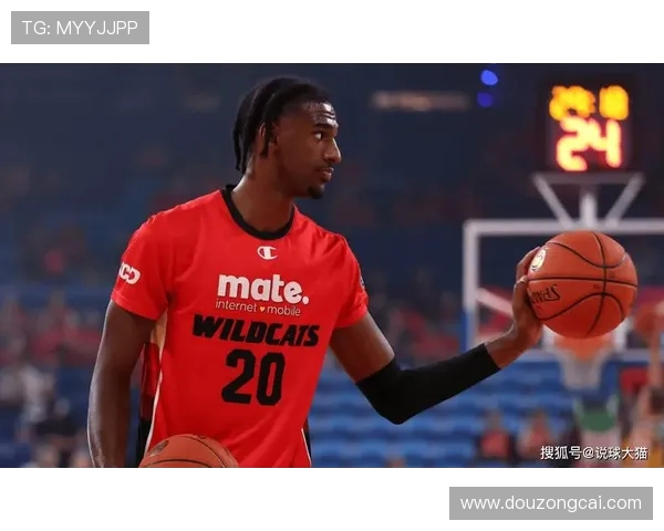 2024年NBA状元秀首个赛季表现评估与球队建设影响